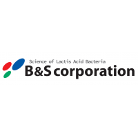 B&S corporation